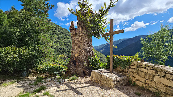 Neben einem Weg auf einer Anhöhe stehen ein mehrere Meter hoher Baumstumpf und ein wenig niedrigeres Kreuz. An einer Seite des Baumstumpfs sprießen belaubte Äste und Zweige.