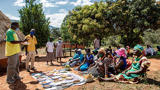 Getreide-Workshop im Osten von Simbabwe. Ein Mitarbeiter einer »Brot für die Welt«-Partnerorganisation unterrichtet Dorfbewohner in Manzou über ausgewogene Ernährung und den Anbau bestimmter Getreidesorten. 