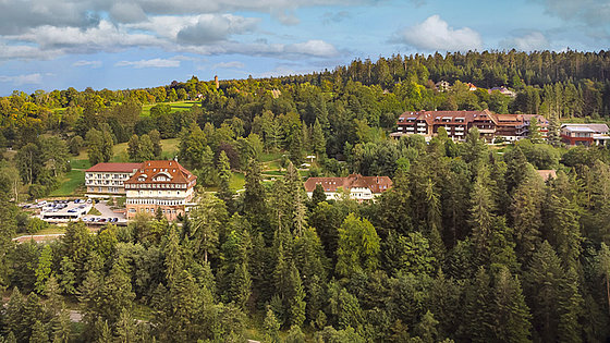 Blauer Himmel mit weiß-grauen Wolken. Darunter eine Schwarzwaldidylle, zu Zweidritteln aus einem ansteigenden Schwarzwaldhang geformt. Darin drei etwas voneinander entfernt liegende Gebäude mit schwarzwaldtypischen Giebel- und Walmdachformen. 