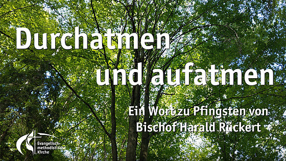 »Waldbaden« ist das neue Modewort unter Naturenthusiasten. Das Startbild der neuen Video-Ansprache von Bischof Harald Rückert passt zum pfingstlichen Thema der Auslegung: »Durchatmen und aufatmen«.