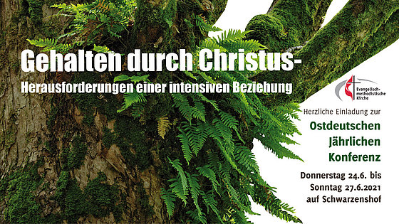 Ein kräftig gewachsener Baum ist zentrales Motiv des Veranstaltungsplakats für die Tagung der Ostdeutschen Jährlichen Konferenz.