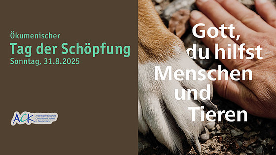 Das Bild ist senkrecht in zwei Hälften aufgeteilt: Links steht auf dunklem Hintergrund: »Ökumenischer Tag der Schöpfung; Sonntag, 31.8.2025«. Rechts ist eine Pfote und eine Hand abgebildet, dazu der Text: »Gott, du hilfst Menschen und Tieren«.