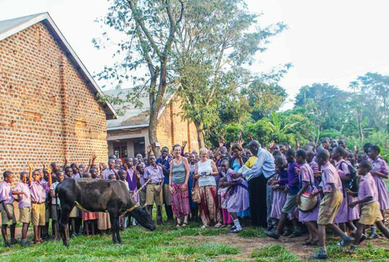 Jetzt sind die Kinder einer Schule in Kayunga im Besitz einer Kuh, die ihnen nahrhafte Milch gibt. Die Freude darüber ist groß.