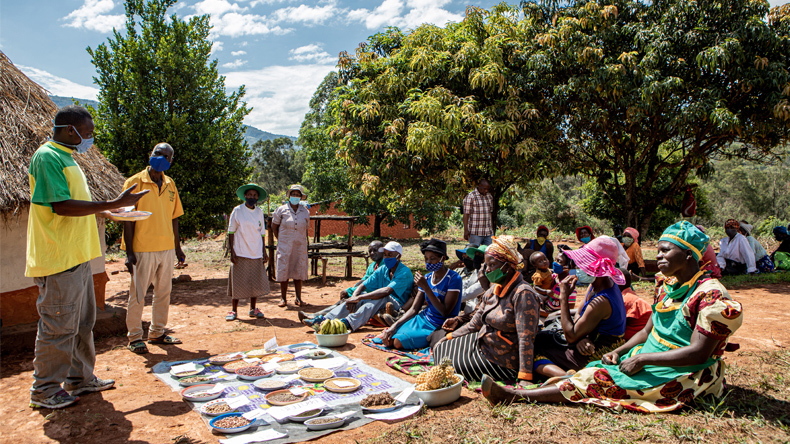 Getreide-Workshop im Osten von Simbabwe. Ein Mitarbeiter einer »Brot für die Welt«-Partnerorganisation unterrichtet Dorfbewohner in Manzou über ausgewogene Ernährung und den Anbau bestimmter Getreidesorten. 