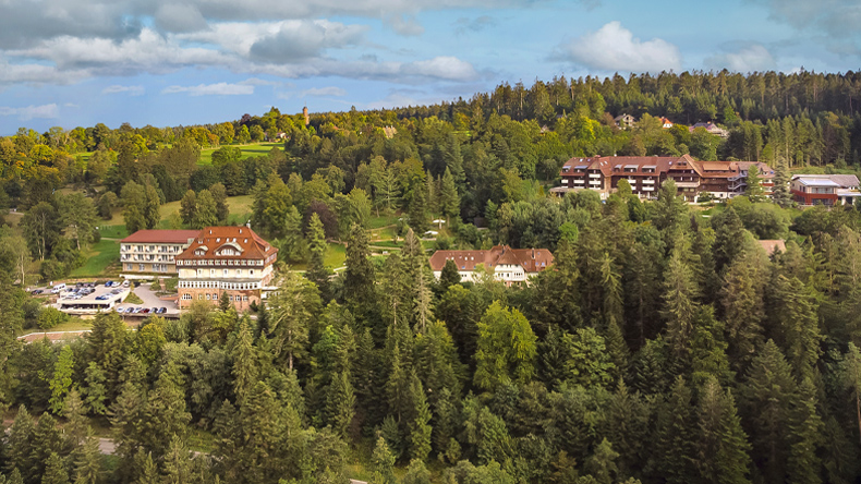 Blauer Himmel mit weiß-grauen Wolken. Darunter eine Schwarzwaldidylle, zu Zweidritteln aus einem ansteigenden Schwarzwaldhang geformt. Darin drei etwas voneinander entfernt liegende Gebäude mit schwarzwaldtypischen Giebel- und Walmdachformen. 